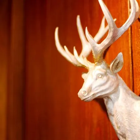 Hellers Twenty Four I -24h-check-in- Hotel 3*