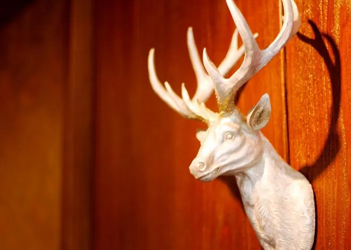 Hellers Twenty Four I -24h-check-in- Hotell 3*